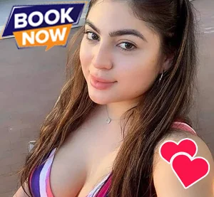 Celebrity Courtyard by Marriott Bengaluru Outer Ring Road Escorts Service